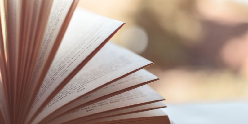 Niccolò Ammaniti ritorna in libreria con "La vita intima"