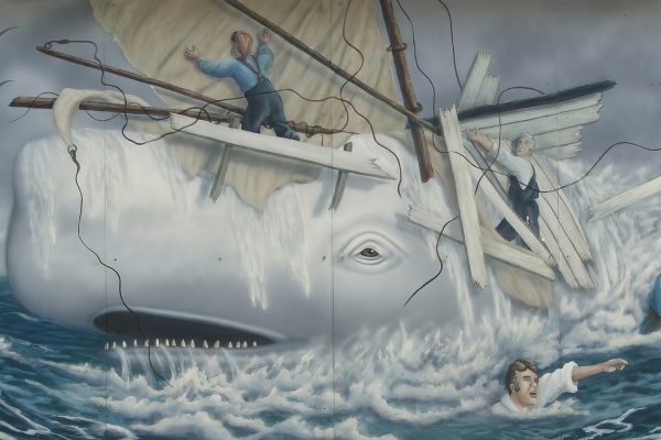 The Whale – Moby Dick non esce più di casa