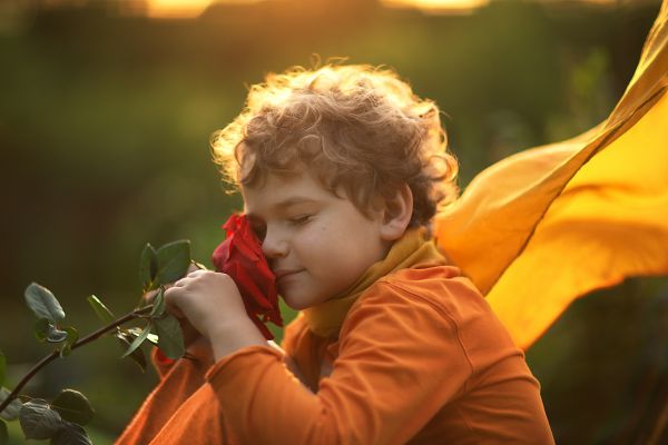 Il Piccolo Principe compie 80 anni gli adattamenti per la tv