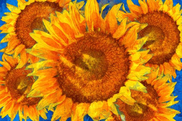 Museo Van Gogh per i suoi 50 anni un ricco calendario di mostre