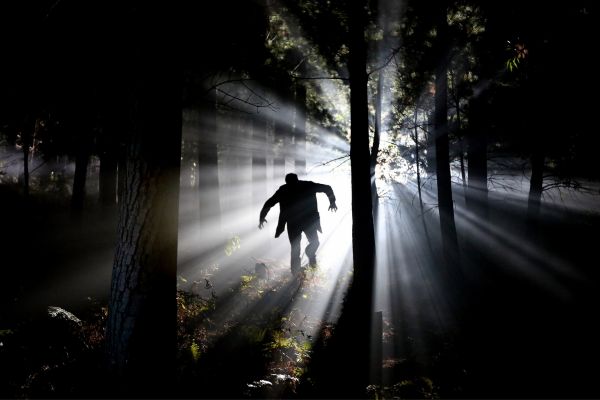 Nosferatu ufficialmente concluse le riprese dell'horror gotico di Eggers