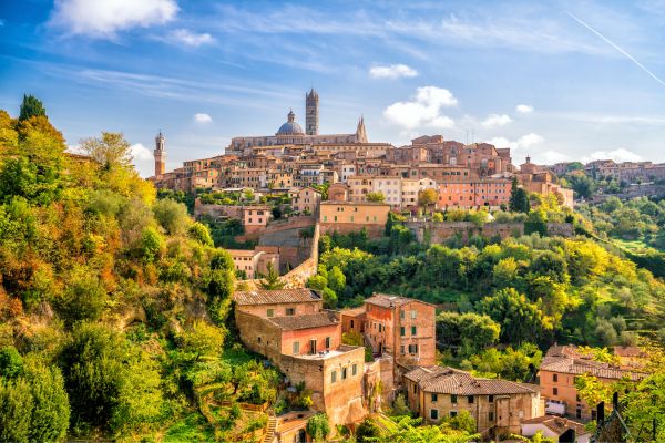 Duomo di Siena il prezioso pavimento visibile al pubblico per giorni limitati