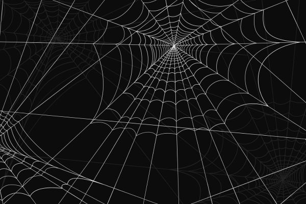 Spider Woman la Sony annuncia un nuovo film della saga Spider Verse