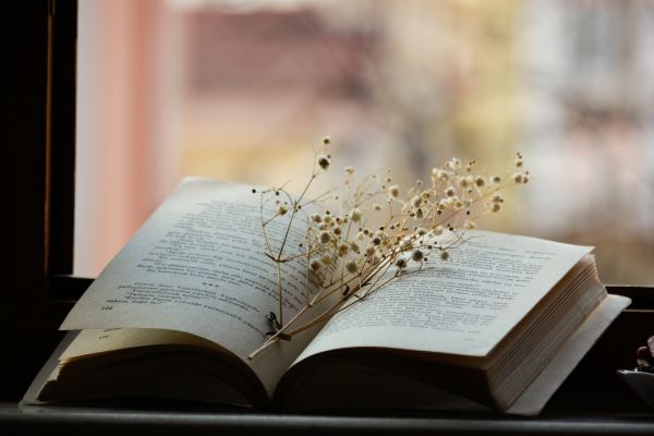 Louisa May Alcott e gli pseudonimi scoperti altri racconti della scrittrice di Piccole Donne
